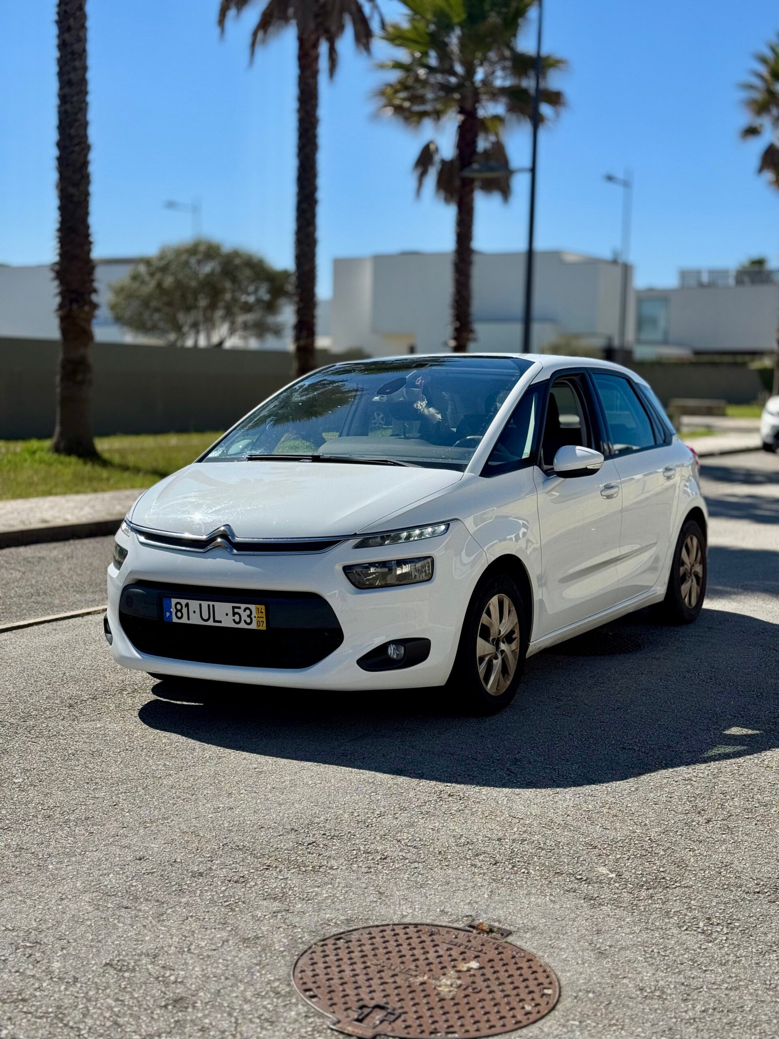 
								Citroën C4 Picasso completo									