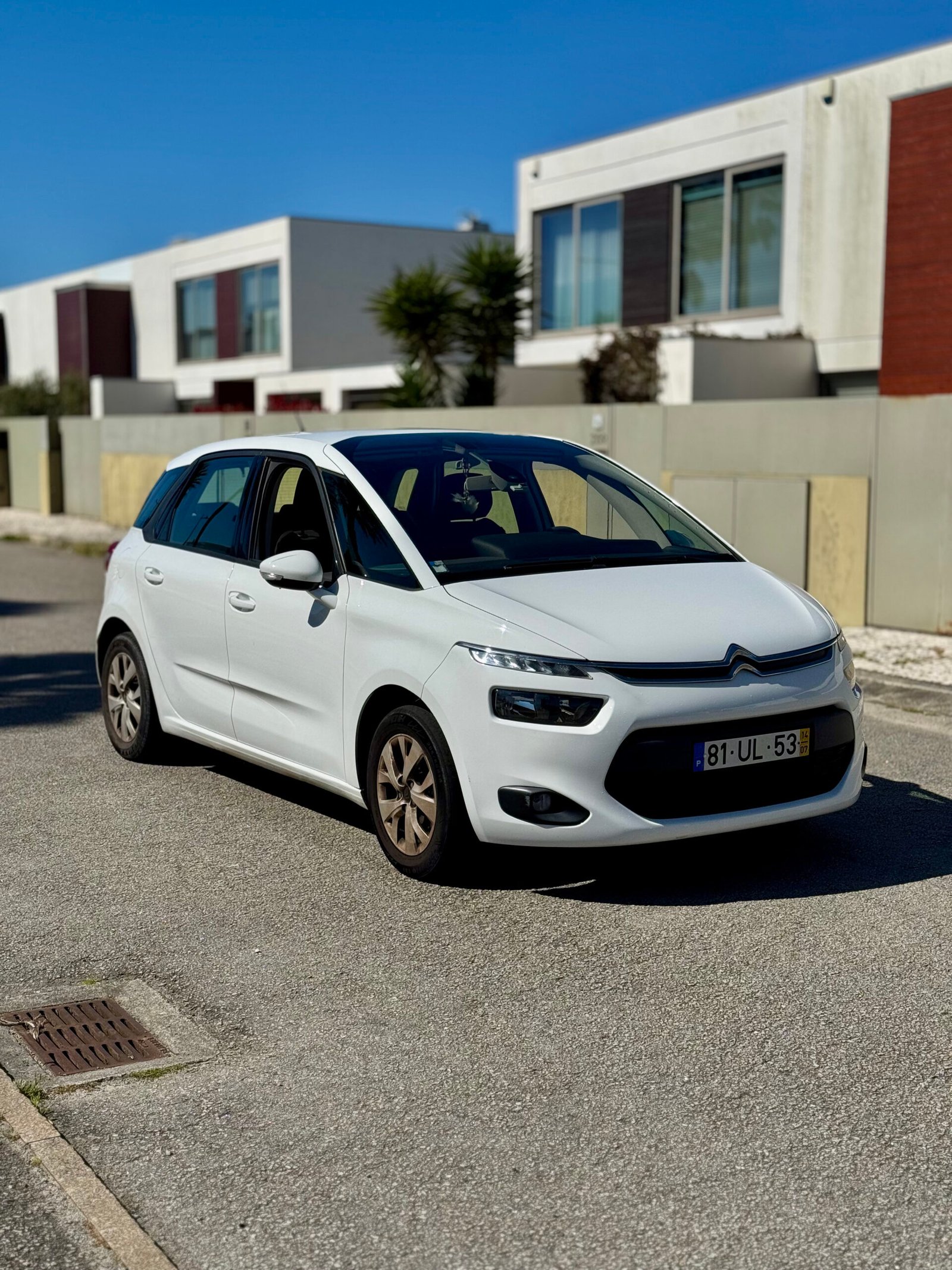 
								Citroën C4 Picasso completo									
