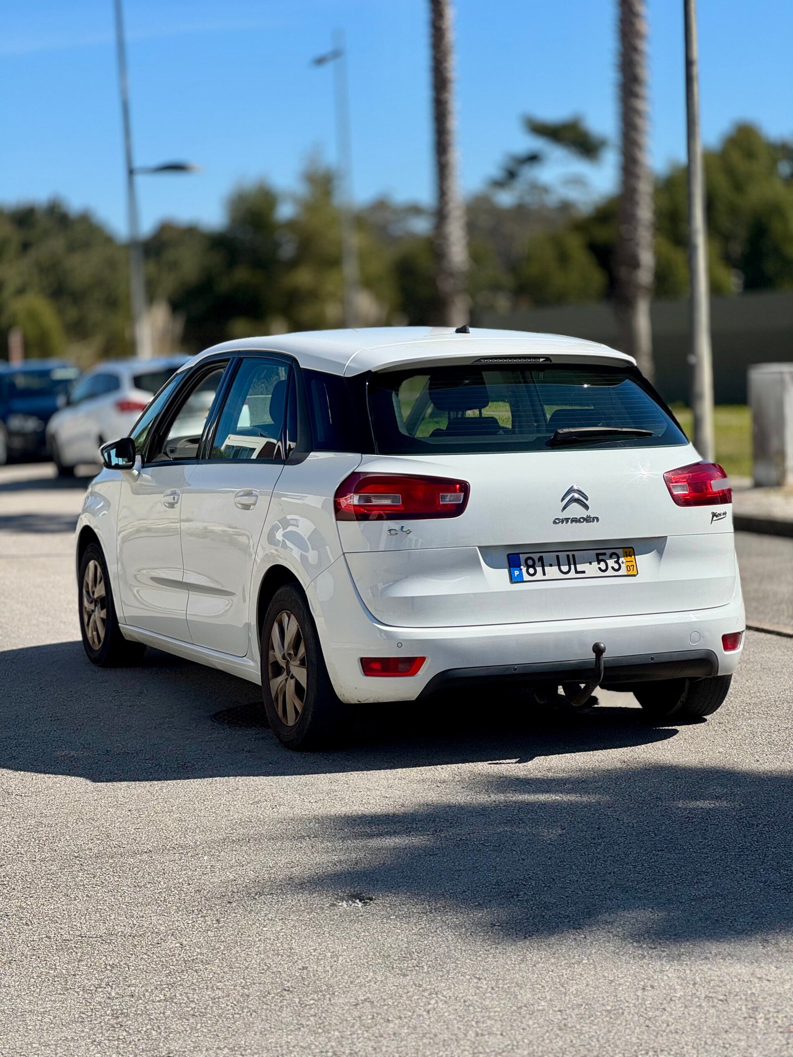 
								Citroën C4 Picasso completo									