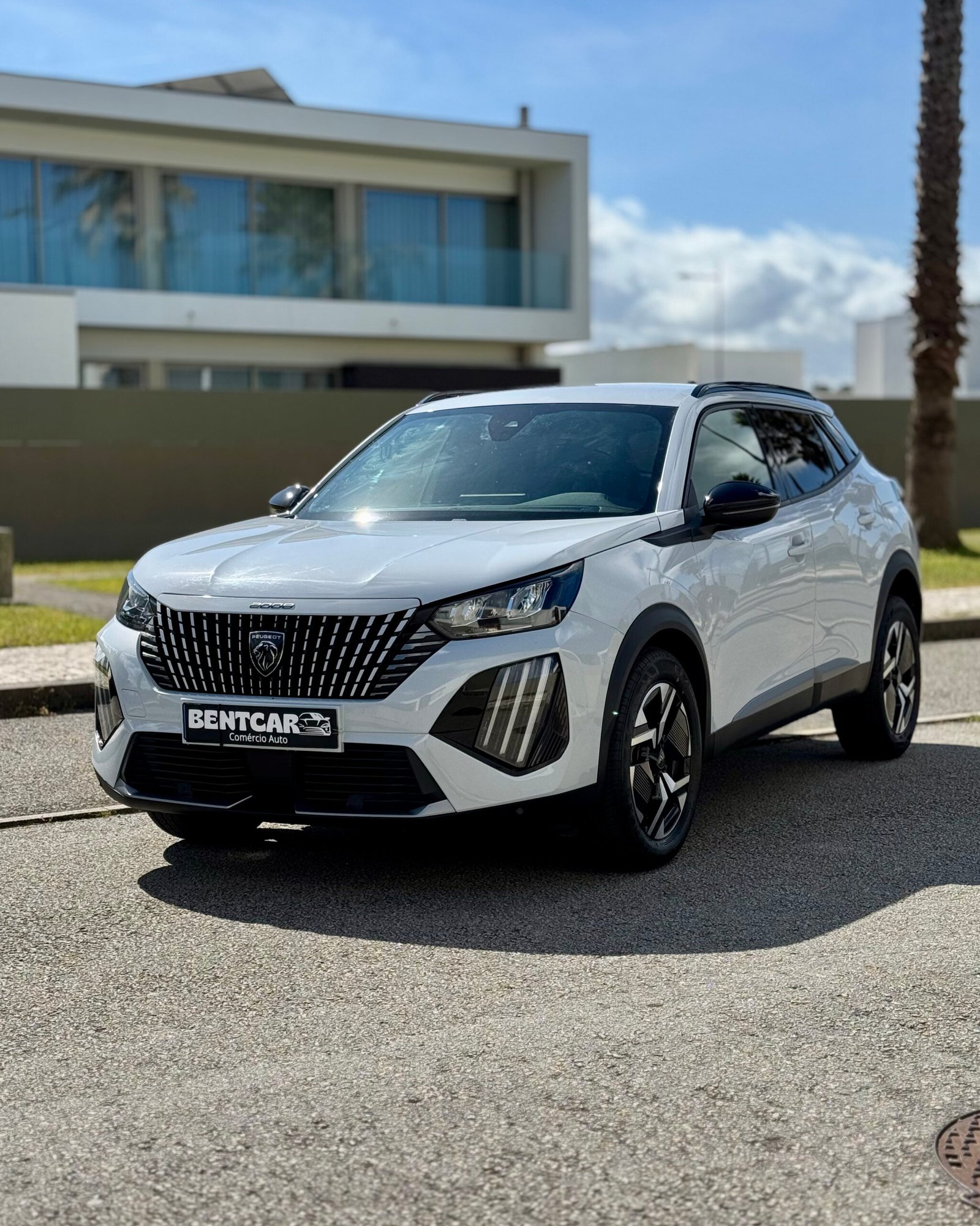 
								Peugeot 2008 Allure completo									